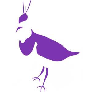 cropped-favicon.png